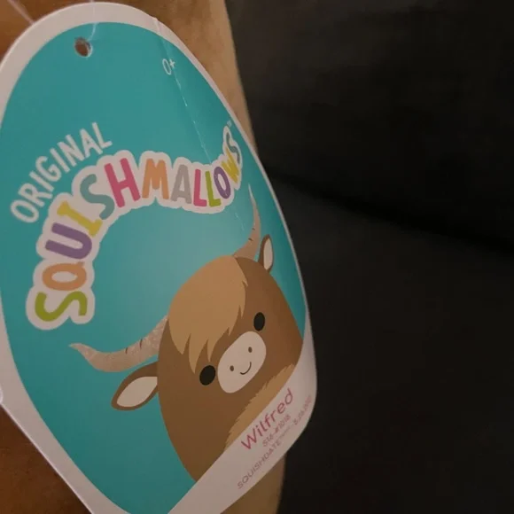 10 items - large squishmallows bundle, cow bird frogs & food and more - Picture 3 of 14